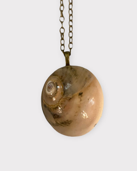 Shark's Eye Necklace