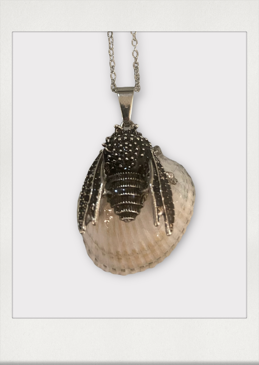BOMBUS