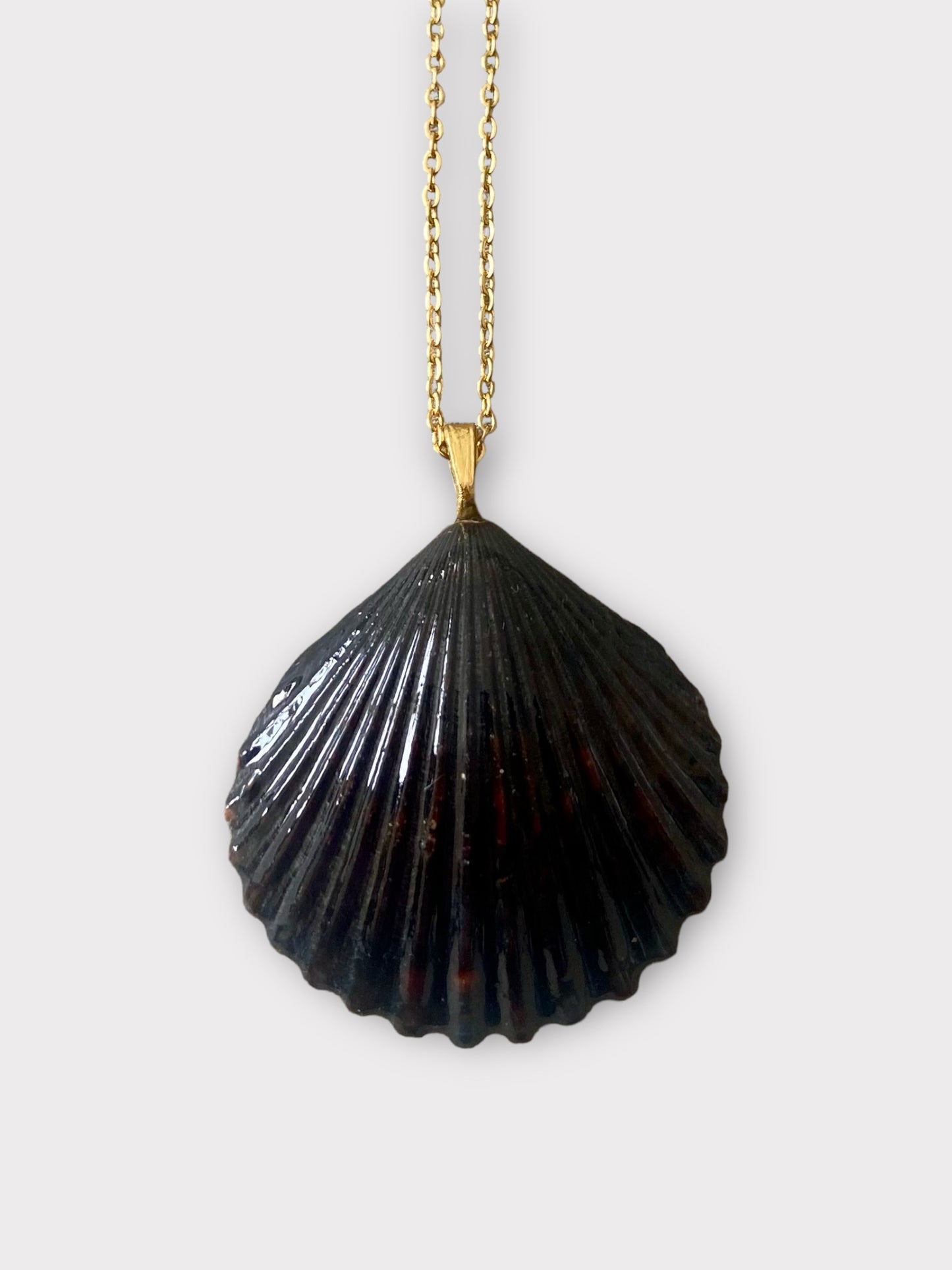Black Scallop Necklace
