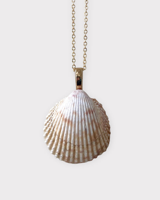 Prickly Cockle Necklace