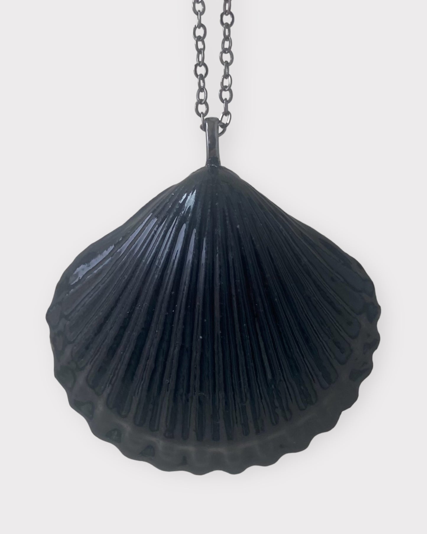 Sea Scallop
