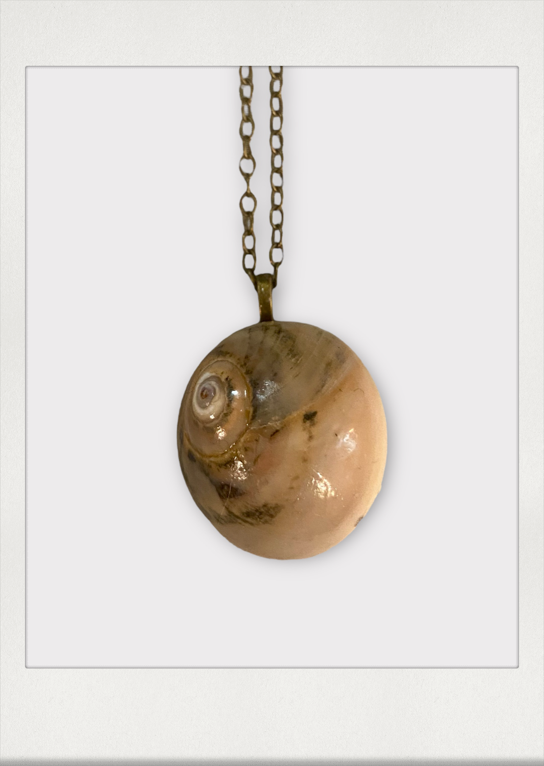 Shark's Eye Necklace