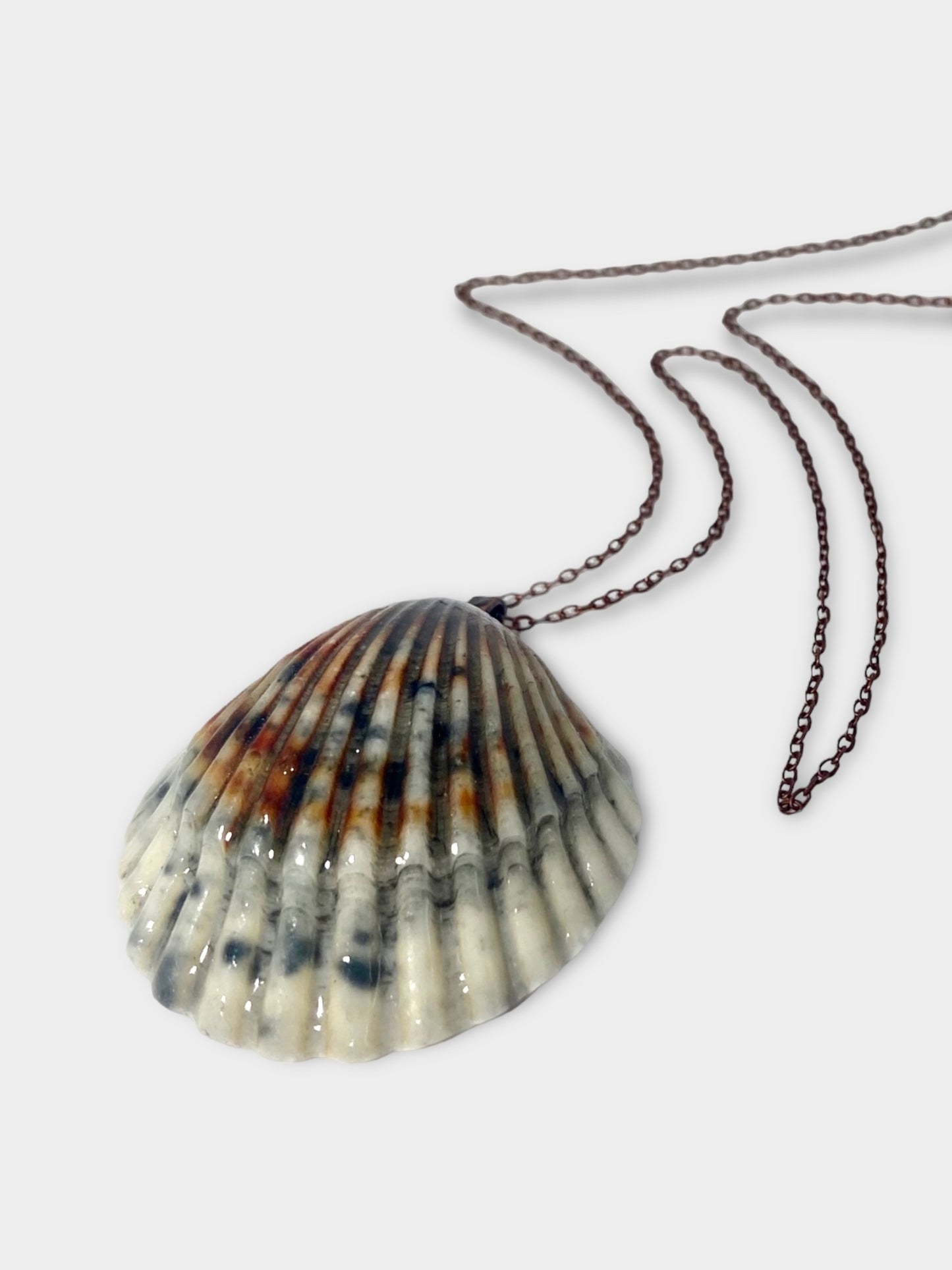 Calico Scallop Necklace