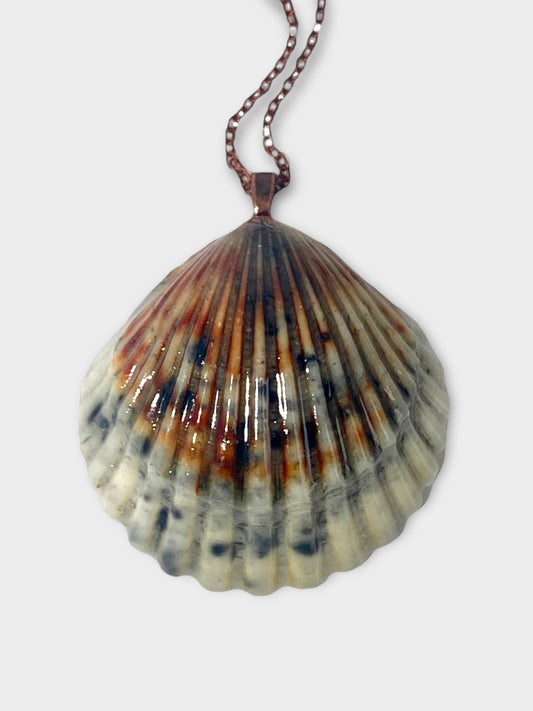 Calico Scallop Necklace