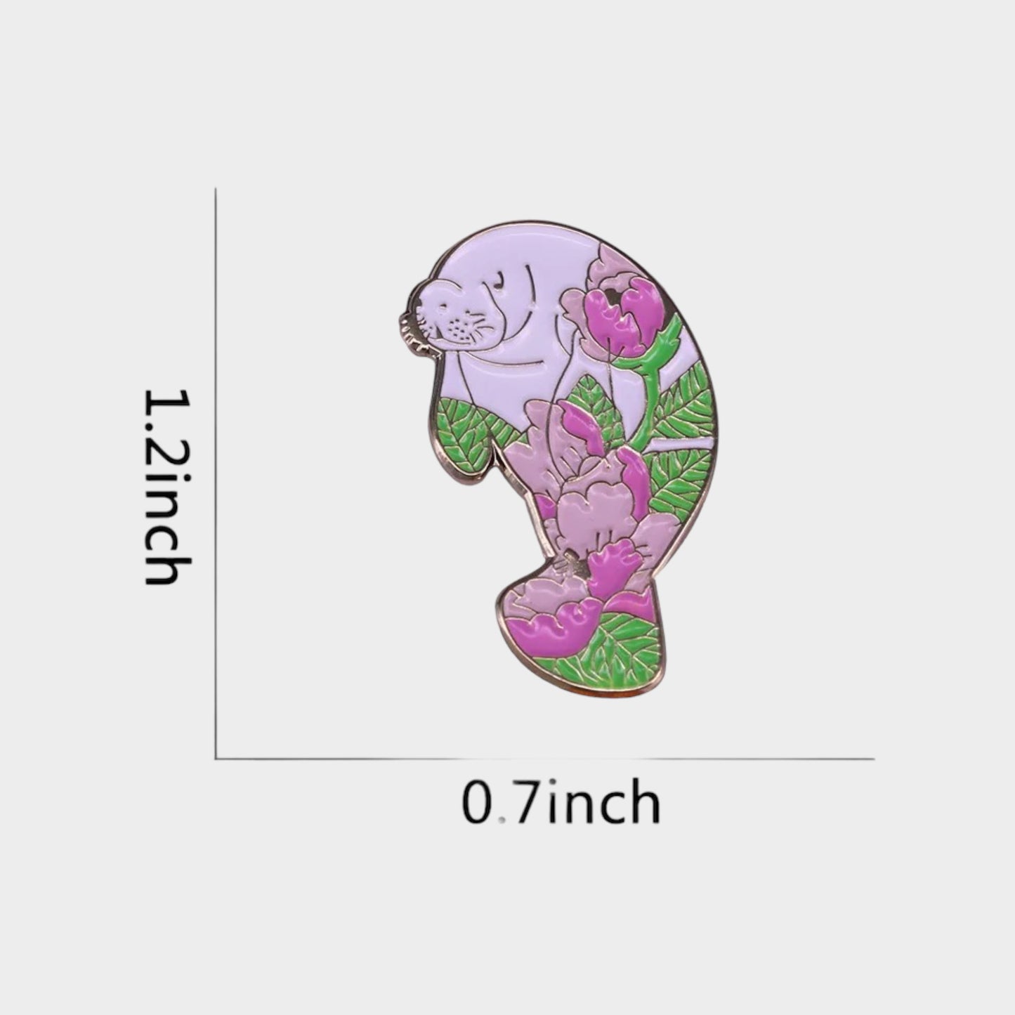 Otarlidae Pin