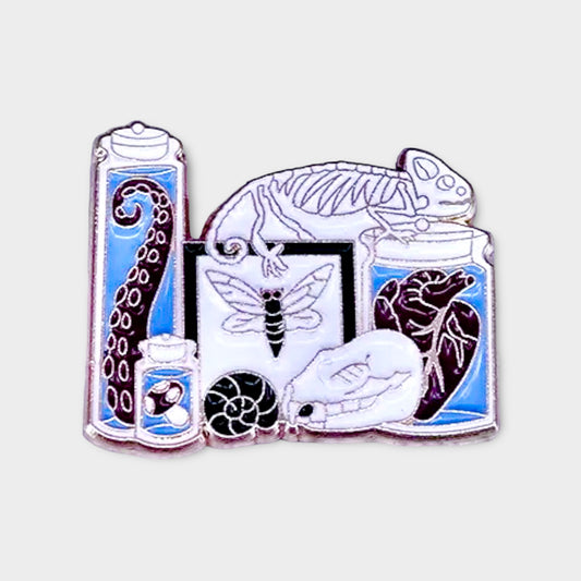 Cabinet of Curiosities Pin