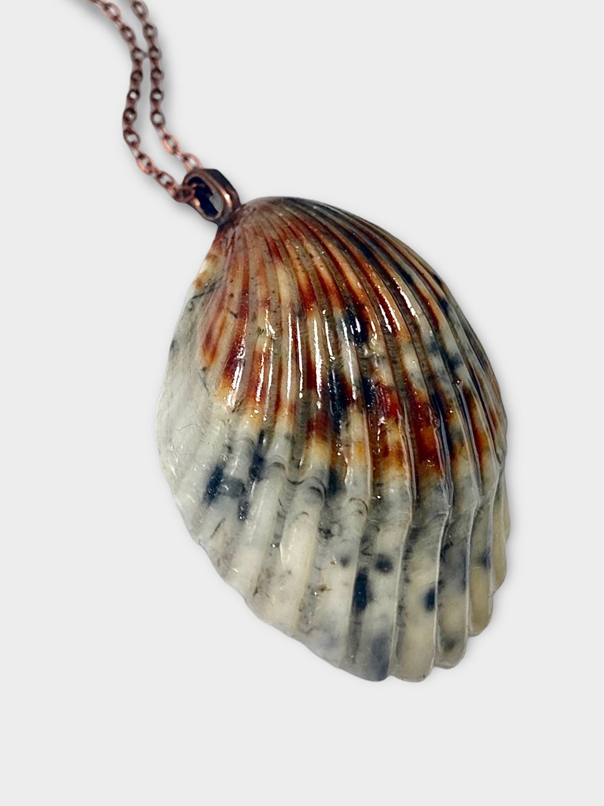 Calico Scallop Necklace