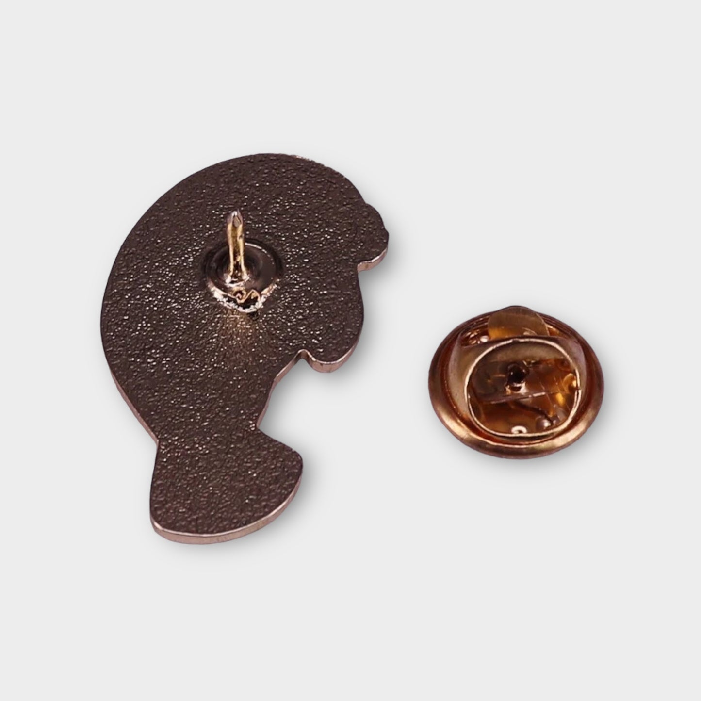 Otarlidae Pin