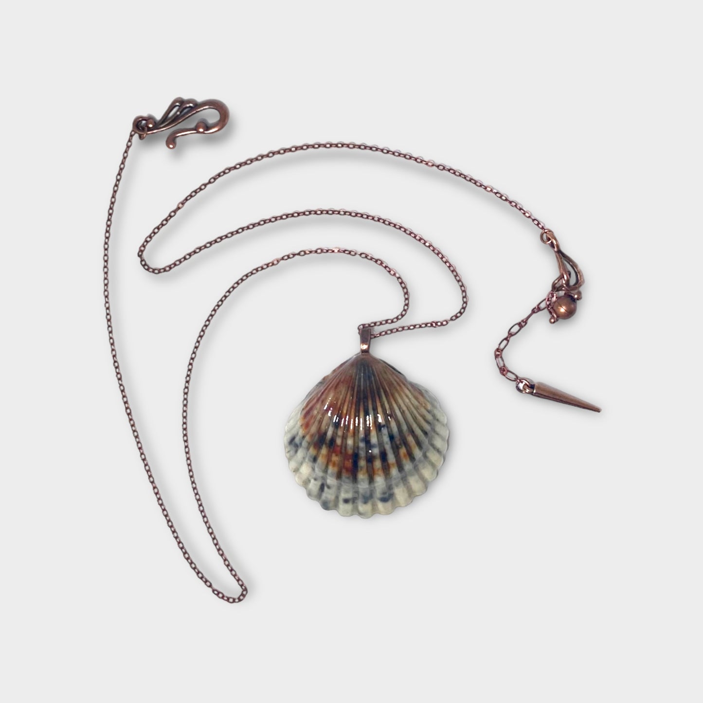 Calico Scallop Necklace